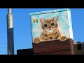 The CAT | electric box art