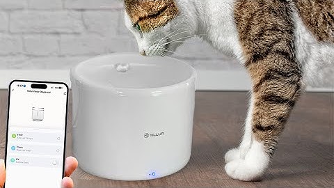 Installation guide - Tellur Smart Wifi Water Dispenser