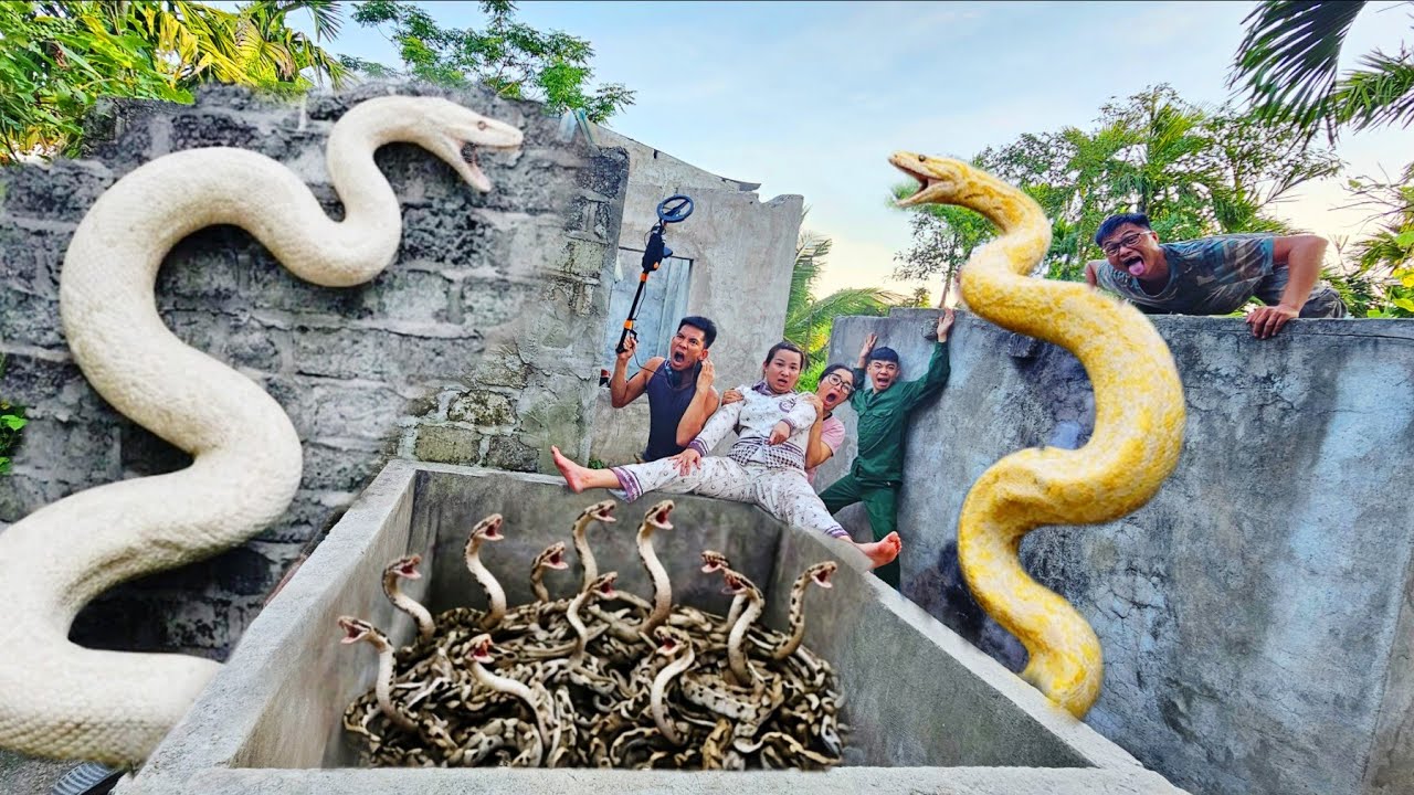 Brave soldiers used high-tech snake detectors to locate the giant ...