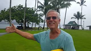 Coconut Island and the Tsunami Palm Tree, Hilo HI