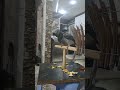 نبرد با دشمن فرضی نوکشو که میکوبه رو چوب یعنی بازم بنداز برام 