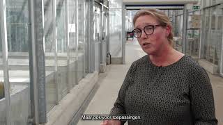 The Chemical Communication between potato and Cyst Nematodes - Holland Innovative Potato by Wageningen Plant Research 470 views 2 years ago 10 minutes, 23 seconds