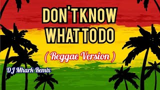 Dont Know What To Do - Vivoree ( REGGAE Version ) | DJ Mhark Remix