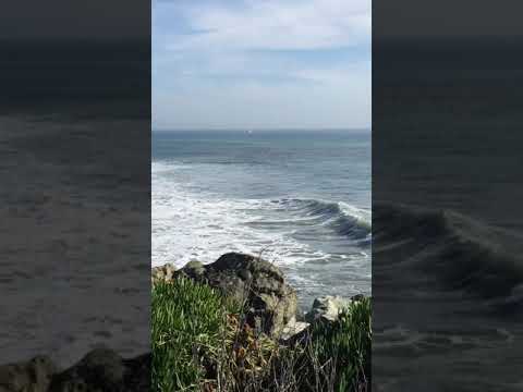 Santa Cruz Ocean