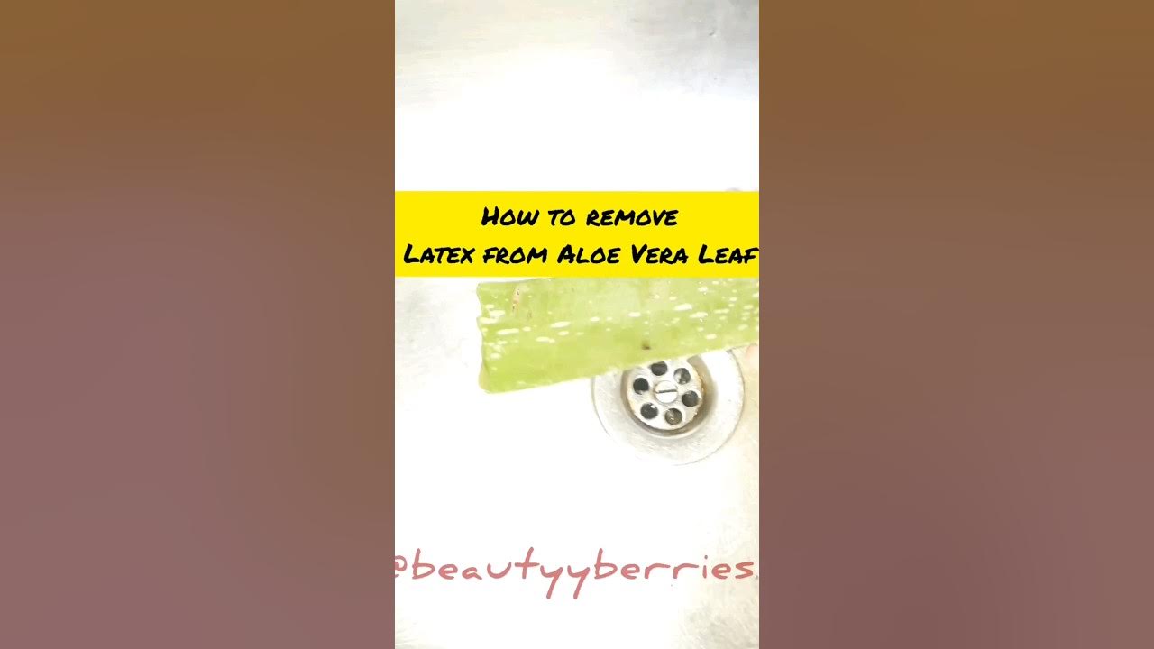 How to remove Aloe Latex or poison from Aloe Vera Leaf Shorts Beauty Hacks YouTube