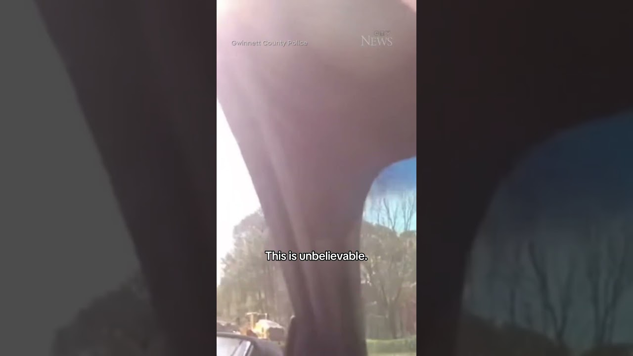 Front loader flips stolen front loader during police chase