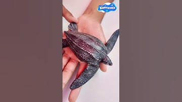 Thumbnail of Cool Facts About the Leatherback Sea Turtle