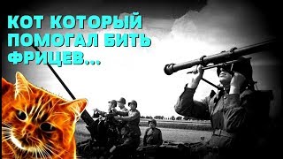 САМЫЙ БОЕВОЙ СОВЕТСКИЙ КОТ ВТОРОЙ МИРОЙ ВОЙНЫ: Рыжий зенитчик ВОВ