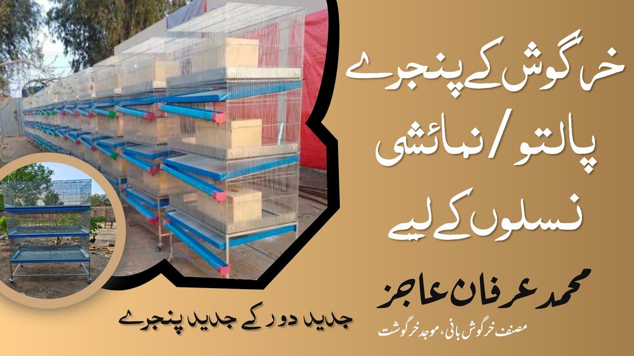 خرگوش کے پنجرے Rabbit Cages  for Pet & Fancy Breeds