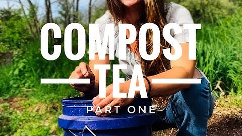 Compost Tea / Part 1