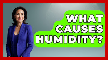 What Causes Humidity? - Weather Watchdog