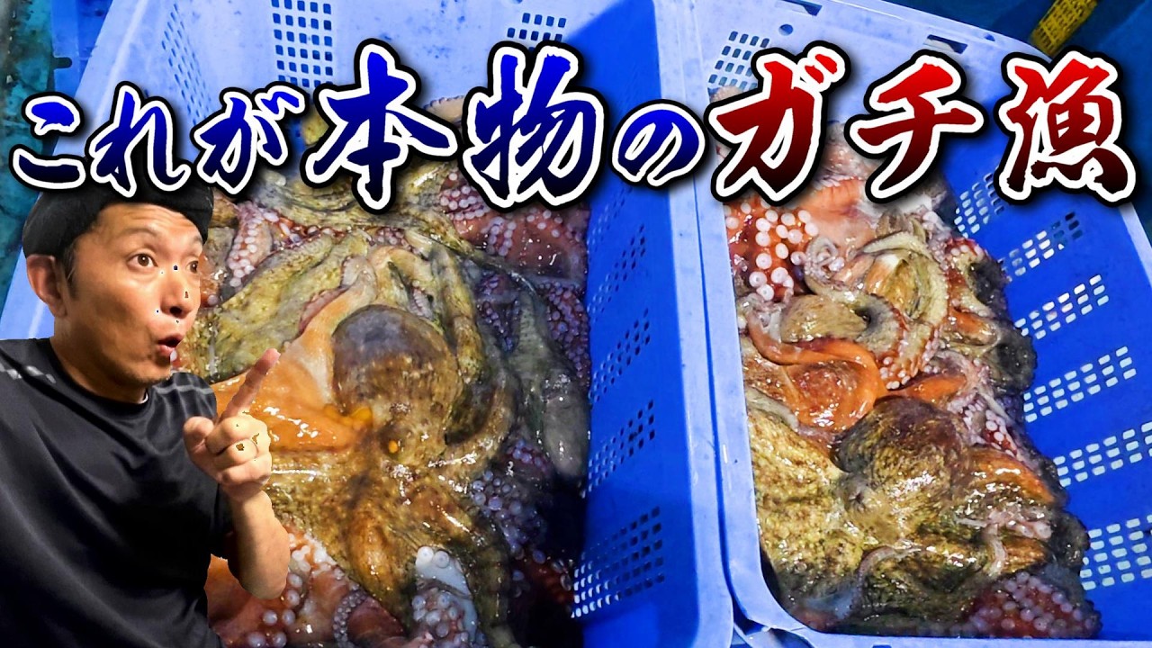 りだこ✽プロフ必読お願いします✽です。 Huge Catch] I caught a creepily large amount of octopus! LOL A