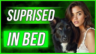 Dogs Thing Was Too BIG – But Wouldn't Leave!