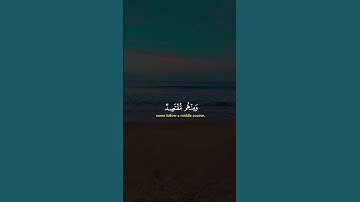 #quran #القرآن_الكريم #استمعوا_وانصتوا_لعلكم_ترحمون #اكسبلور #تلاوة_خاشعة #الجزائر #رمضان_كريم