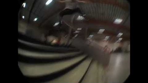 PJ Ladd Berrics edit