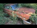 1957 Plymouth Fury Extraction from a 40 year Bamboo field.