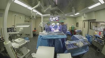 The Tumor Xenograft Project at KU Leuven