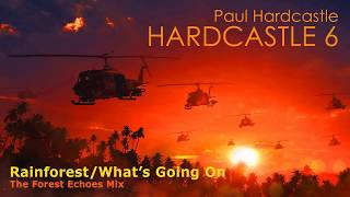 Video thumbnail of "Paul Hardcastle - Rainforest/What’s Going On (The Forest Echoes Mix)"