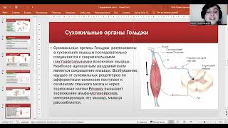 картинка: Мышечный тонус, статические и статокинетические рефлексы