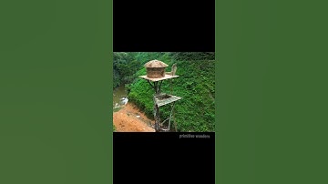 🌳 He Built a Treehouse on an Ancient Tree — A New Life Begins in the Wilderness #Survival #Relaxing