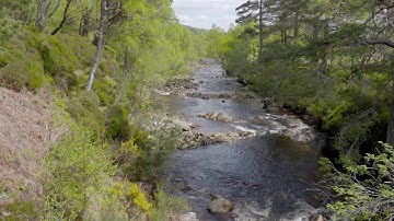 No.12 - 60 Seconds of Calm - Blueprint