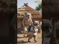 The Cat Fail🐱 #ai_nimation #animahal