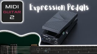 MIDI Guitar 2 & Expression Pedals