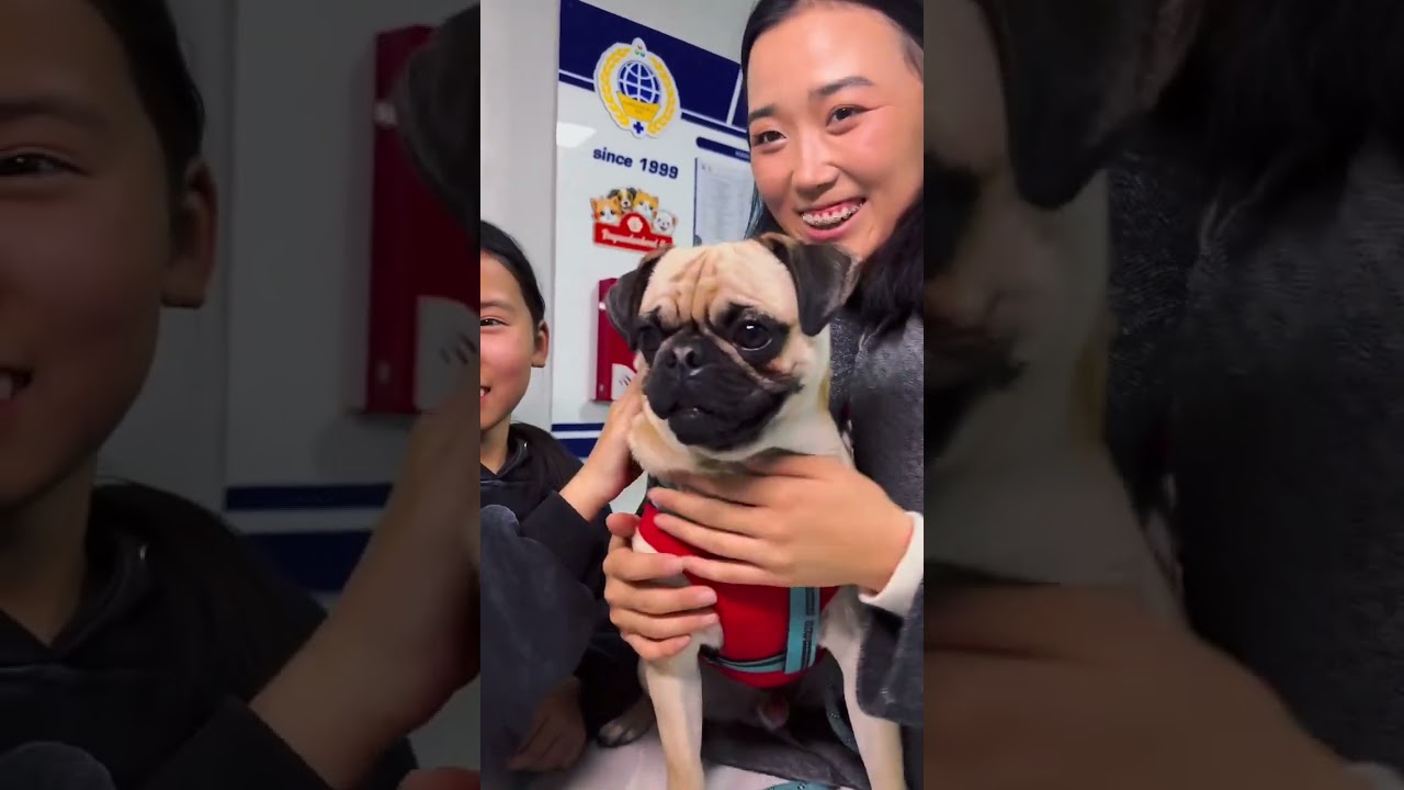 АХТАЙ ХҮН ХЭЗЭЭ Ч АЙДАГГҮЙ👊🏻👊🏻ДҮҮТЭЙ ХҮН ХЭЗЭЭЧ ГАНЦААРДДАГГҮЙ🫂🫂