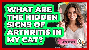 What Are The Hidden Signs Of Arthritis In My Cat? - Happy Cat Handbook