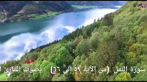 تلاوة عطرة من سورة النمل بصوت القارئ الشيخ رامي الحميدي ابو الهدى