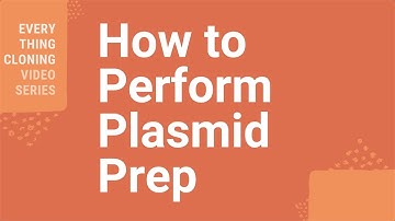 How to Perform Plasmid Prep