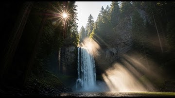 Không khí bãi biển với tiếng lá và tiếng nước