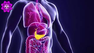 Pancreas Healing Frequency ¦ Healing Binaural Beat ¦ Binaural Beats Meditation ¦ Hypoglycemia