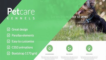 Pet Care Dog Kennels HTML | Themeforest Website Templates and Themes