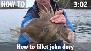 How to Fillet John Dory
