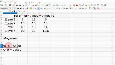 Ajuster les colonnes automatiquement sur libre office calc