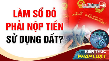 5 Trường Hợp Phải Nộp Tiền Sử Dụng Đất Khi Làm Sổ Đỏ | LuatVietnam