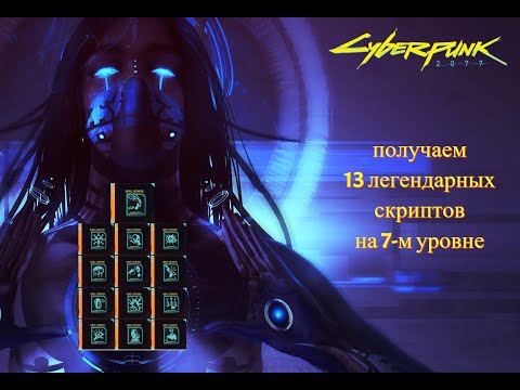 Cyberpunk 2077: Фарм легендарных скриптов. Где взять все легендарные скрипты на 7 уровне. Гайд.