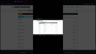 OSINT Framework | DNS Twister