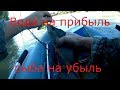 Ловля хищника.Выезд 16.08.17.  Вода на прибыль- Рыба на убыль