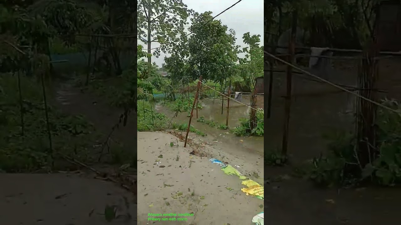 Heavy rain 🌧️🌧️ Assam north east