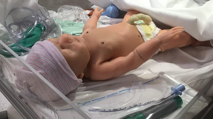 NRP Hands on Simulation Training Video 2021