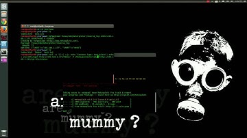 CVE-2014-6271 Shellshock Bash Exploit Full Demo