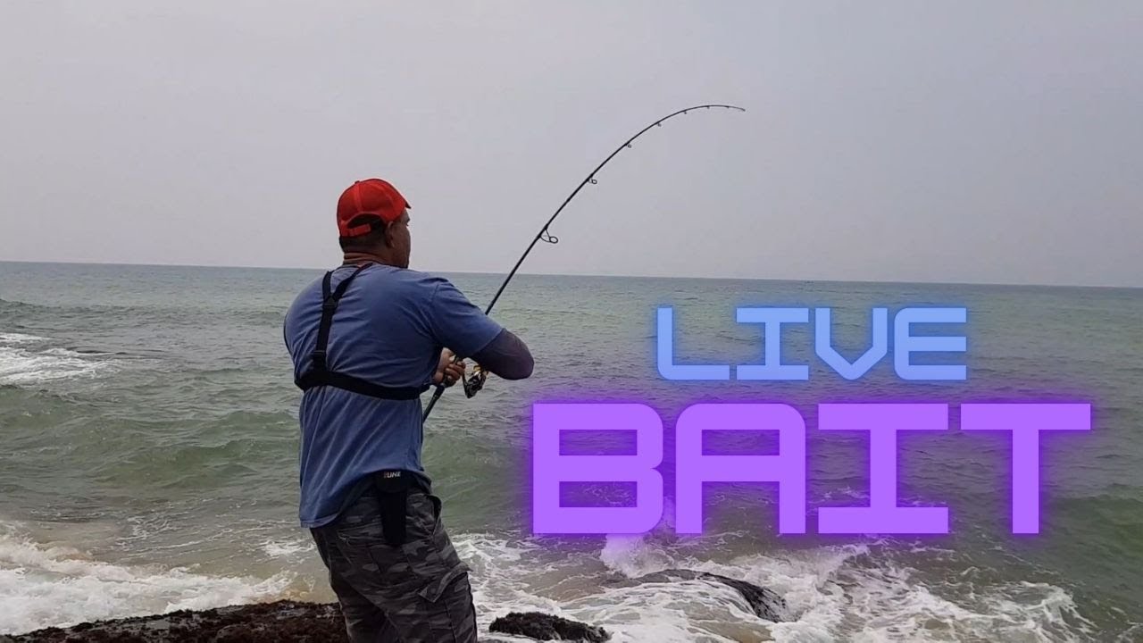 LIVE BAIT Vs. LURES Vs. DEAD BAIT WINNER ?? SURF FISHING Colombo