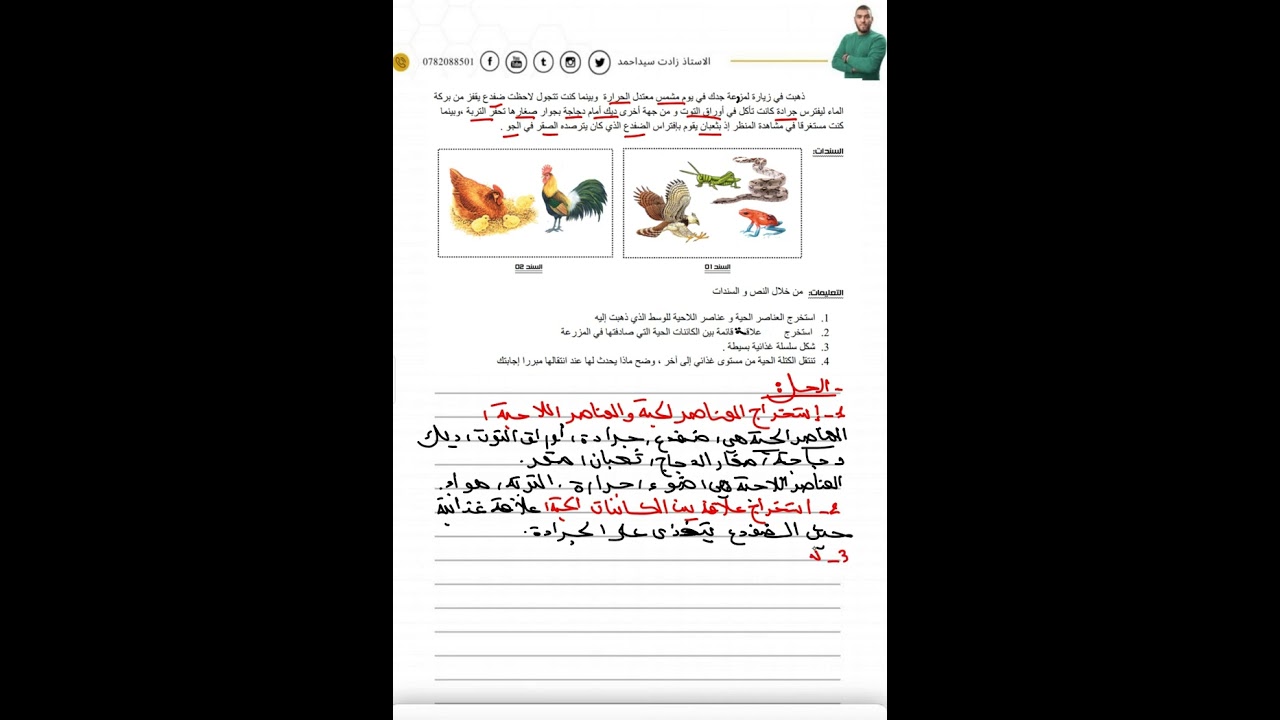 تمرين ممتاز على السلاسل الغذائية للثانية متوسطة