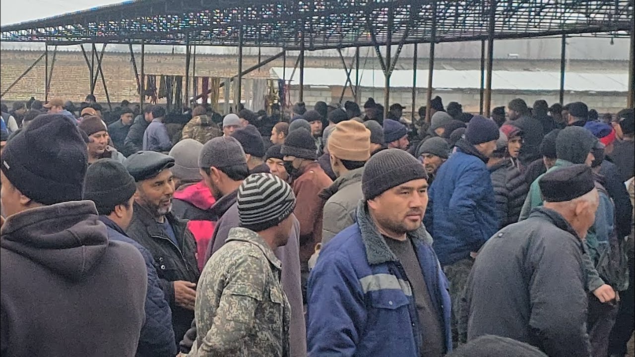 Asaka Uzbekistan Mol Bozori Narxlari Boqma Buqalar 05 03 2026