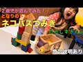 ネコバスつみき（となりのトトロ）で遊んでみた２歳児〜おもちゃレビュー〜