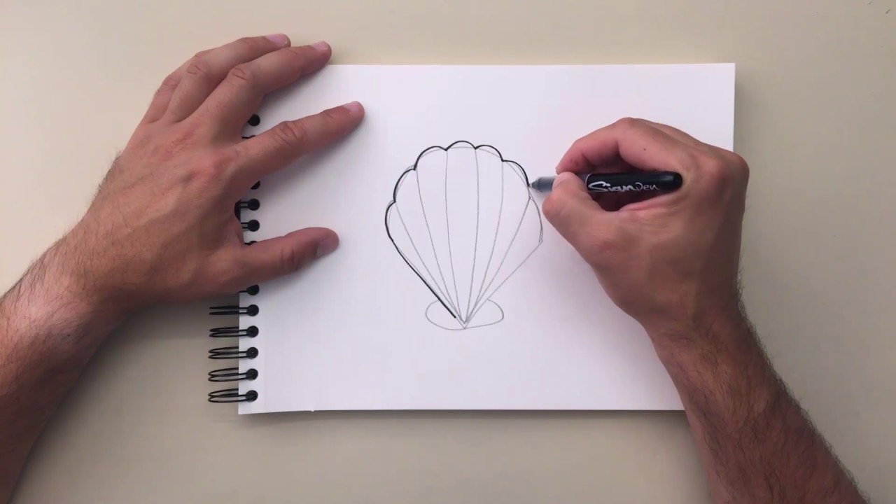 How to Draw - Clam Shell - YouTube