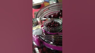 Cách ngâm rượu nho rừng #ruounhorung