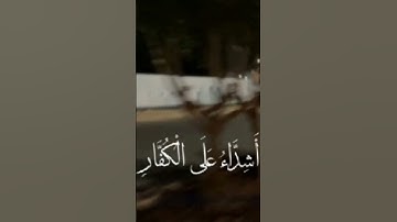 «محمد رسول الله والذين معه أشداء على الكفار رحماء بينهم»آية ٢٩ سورة الفتح #القارىء_ياسر_الدوسري